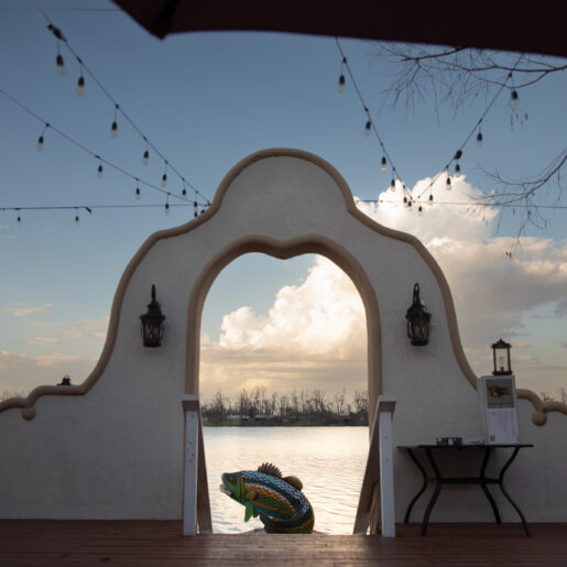 REVITALIZING LAKE PROVIDENCE